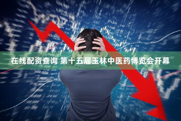 在线配资查询 第十五届玉林中医药博览会开幕