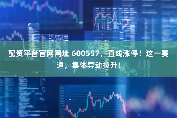 配资平台官网网址 600557,直线涨停!这一赛道,集体异动拉升!